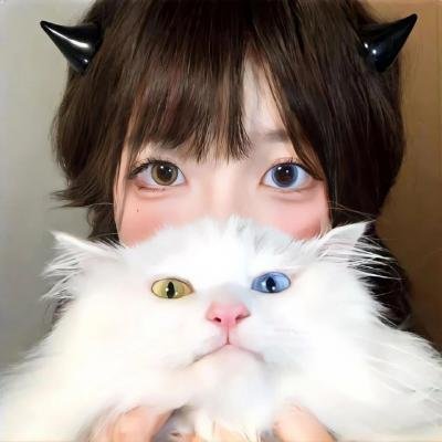 车手